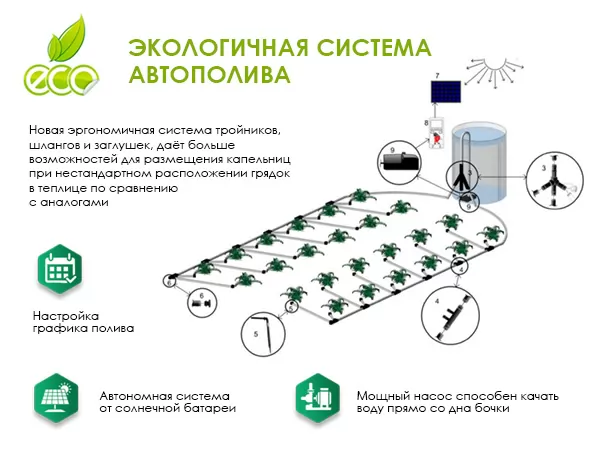 Автоматический капельный полив в теплице «Синьор помидор» Автоматический капельный полив в теплице «Синьор помидор»