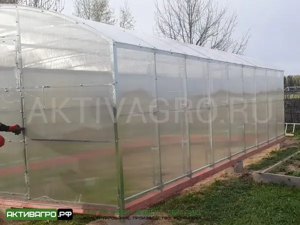 Теплица Ударница Благодатная, ширина 3/3.5 м, труба 40х20 + 20х20 Теплица Ударница Благодатная, ширина 3/3.5 м, труба 40х20 + 20х20